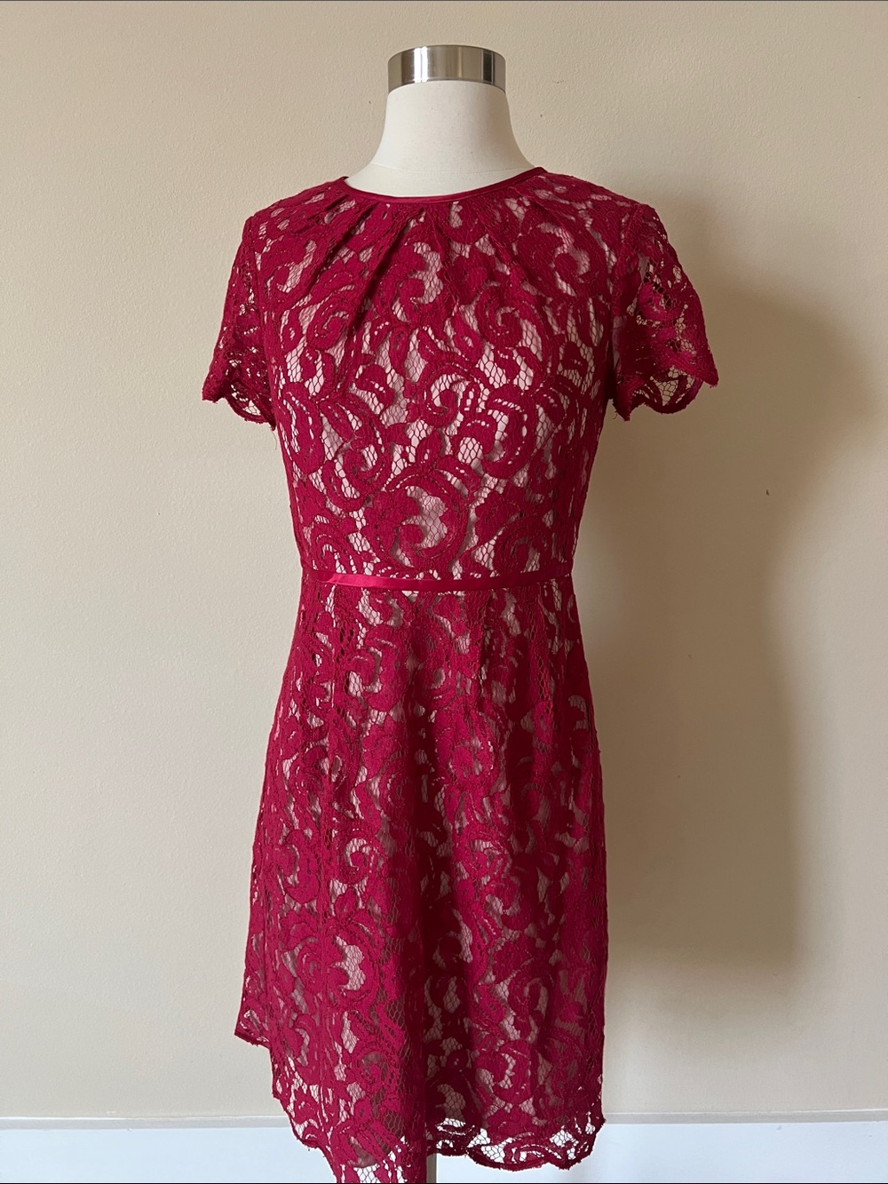 Adrianna Papell Women's Lace Fit-and-Flare Dress in Deep Berry